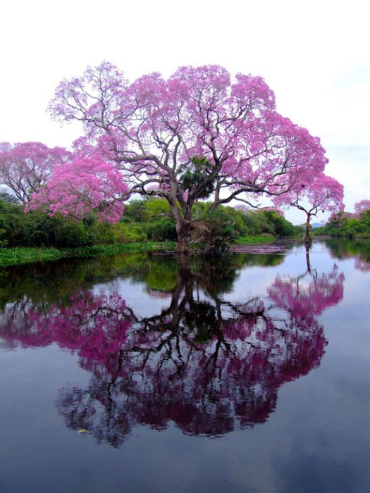 Beautiful Places (39 pics) Beautiful Places (39 pics)