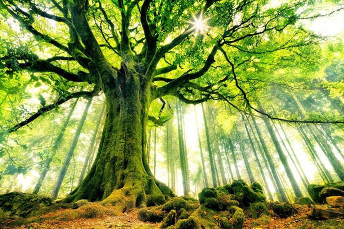Beautiful Places (39 pics) Beautiful Places (39 pics)
