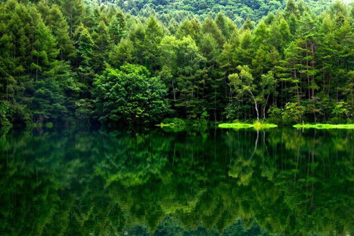 Beautiful Places (39 pics) Beautiful Places (39 pics)