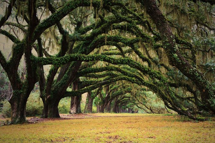 Beautiful Places (39 pics)