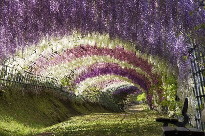 Beautiful Places (39 pics) Beautiful Places (39 pics)