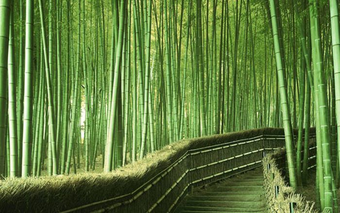 Beautiful Places (39 pics) Beautiful Places (39 pics)