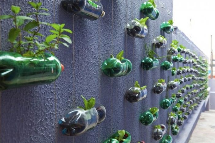 Interesting Way to Recycle PET Bottles (5 pics)