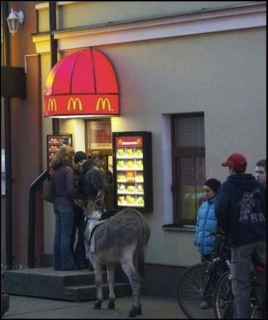 Only in Russia (52 pics)