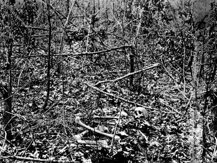 Civil War Photos (121 pics)