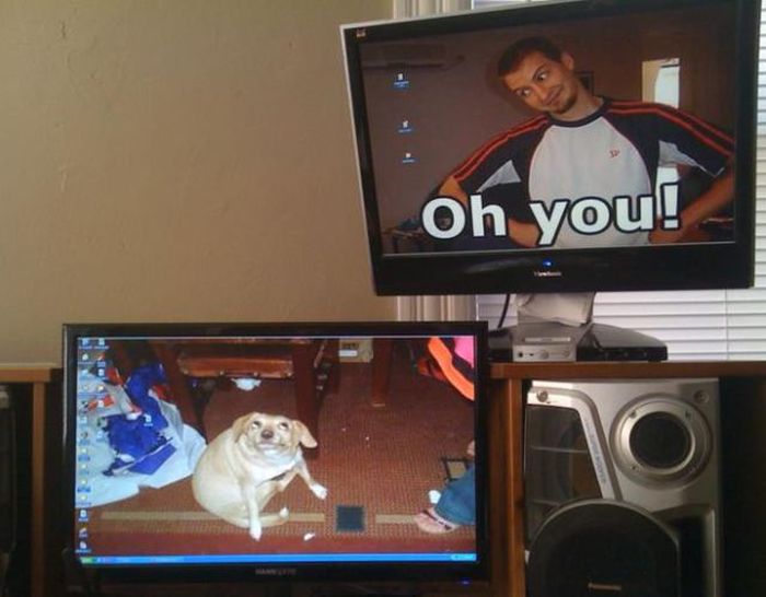 Funny Desktop Wallpapers (20 pics)