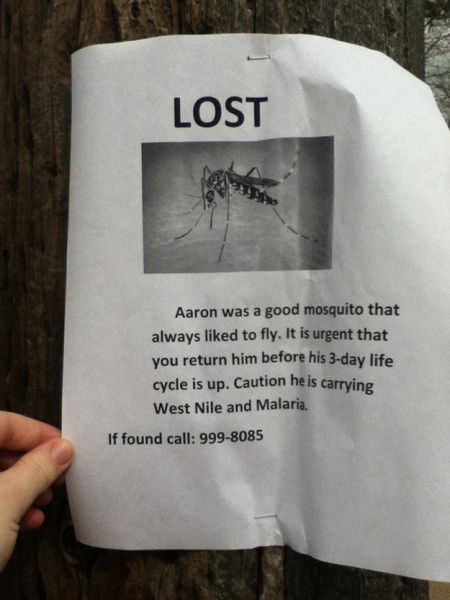 Funny Lost & Found Signs (20 pics)