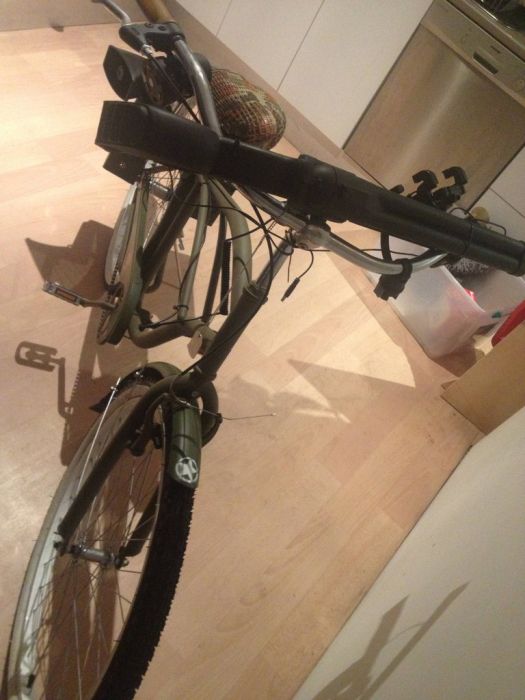 Walking Dead Inspired Bicycle (16 pics)