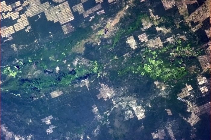 View From Space (48 pics)