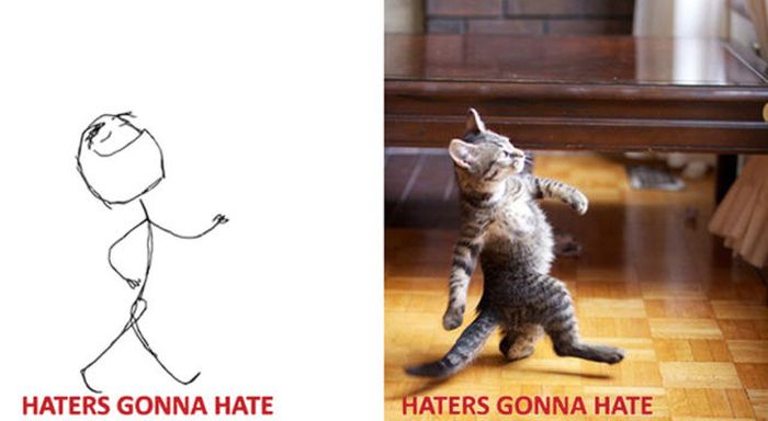 Cats As Rage Faces (18 pics)