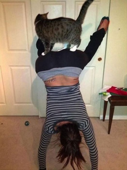 Crazy Pets and Their Crazy Owners (41 pics)