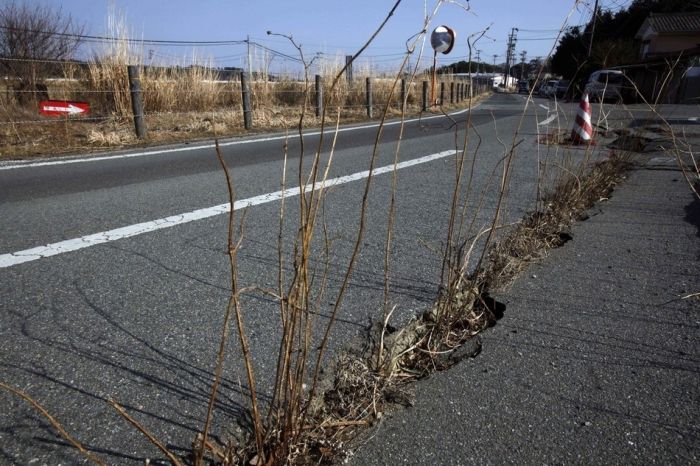 Photos Of Fukushima 2 Years Later (28 pics)
