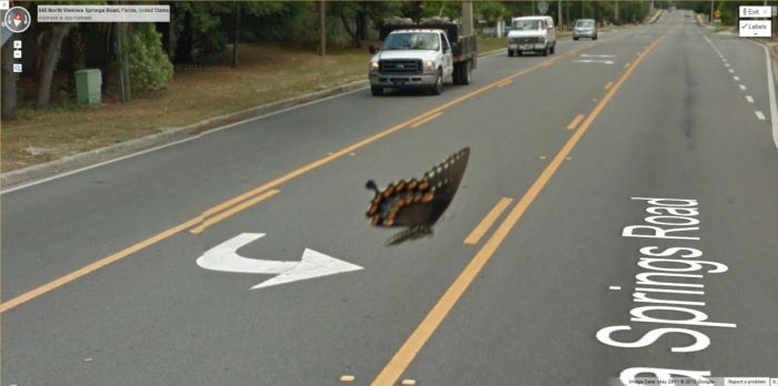 Interesting and Funny Google Street View Images. Part 3 (37 pics)