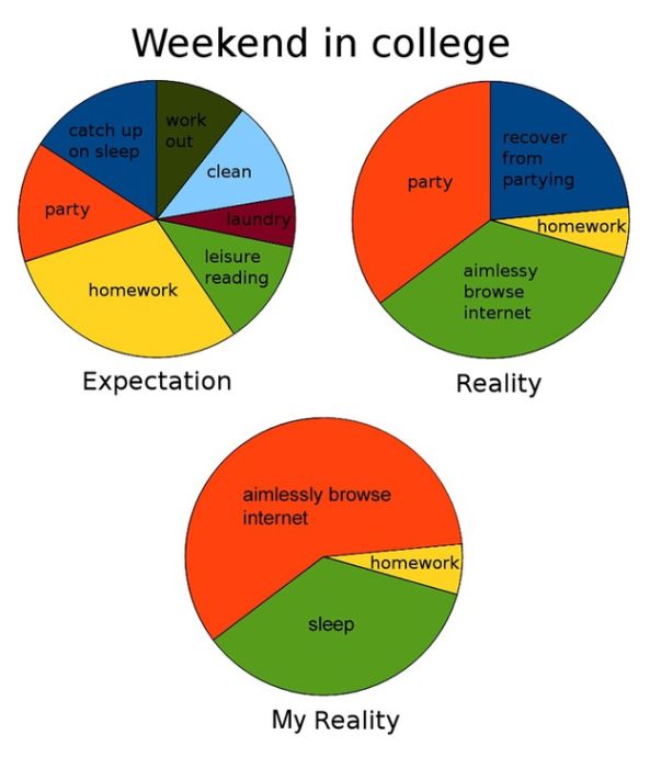 College in Pie Charts (19 pics)