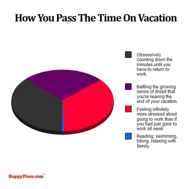 College in Pie Charts (19 pics)