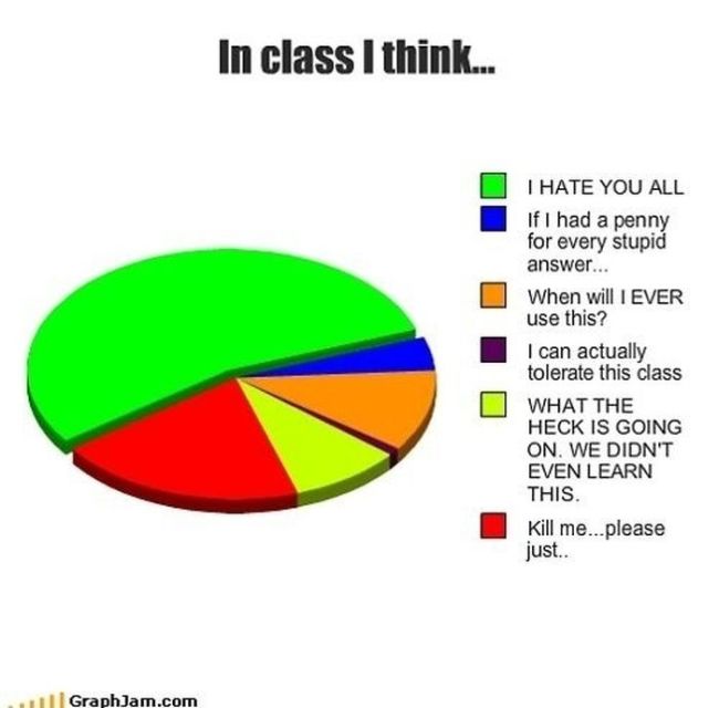 College in Pie Charts (19 pics)