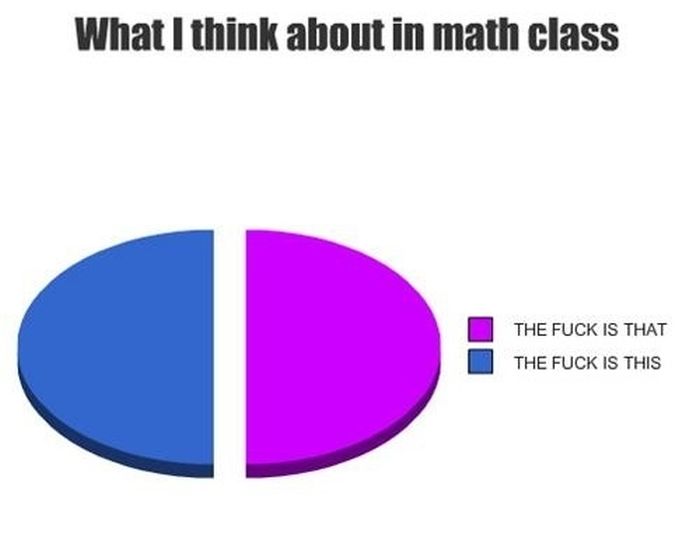 College in Pie Charts (19 pics)