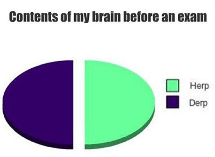 College in Pie Charts (19 pics)