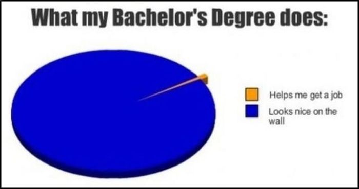 College in Pie Charts (19 pics)