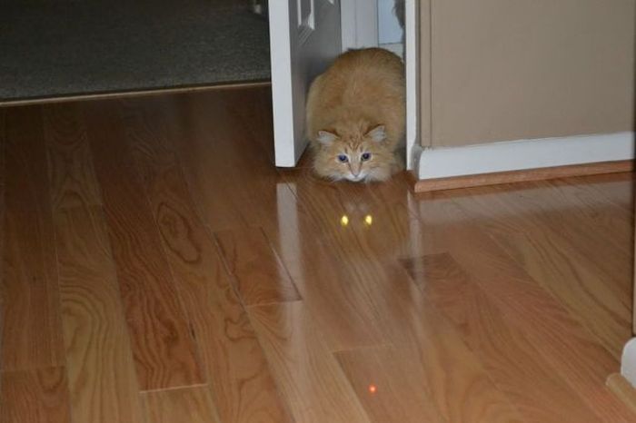 Acid Picdump (150 pics)