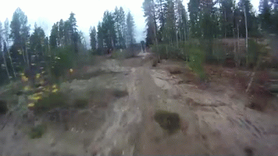 Acid Gifdump, March 18, 2013 (25 gifs)