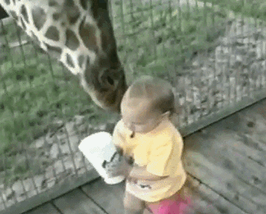 Acid Gifdump, March 18, 2013 (25 gifs)