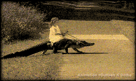 Acid Gifdump, March 18, 2013 (25 gifs)