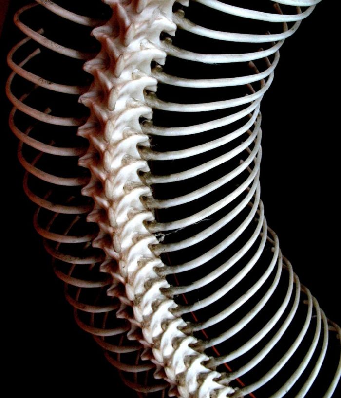 Repetitive Photos (58 pics)