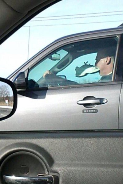 WTF Pictures (50 pics)