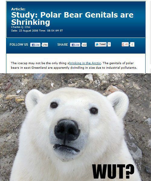 WTF Pictures (50 pics)