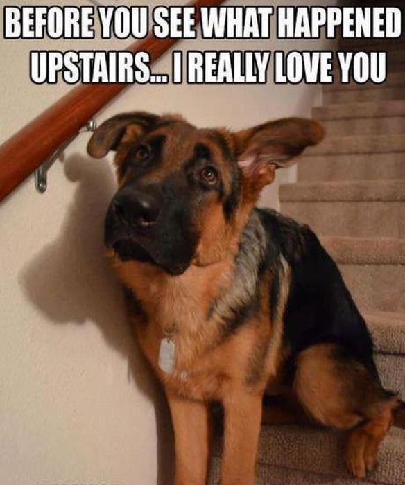 Acid Picdump (128 pics)