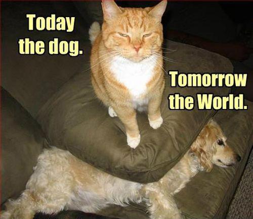 Acid Picdump (128 pics)