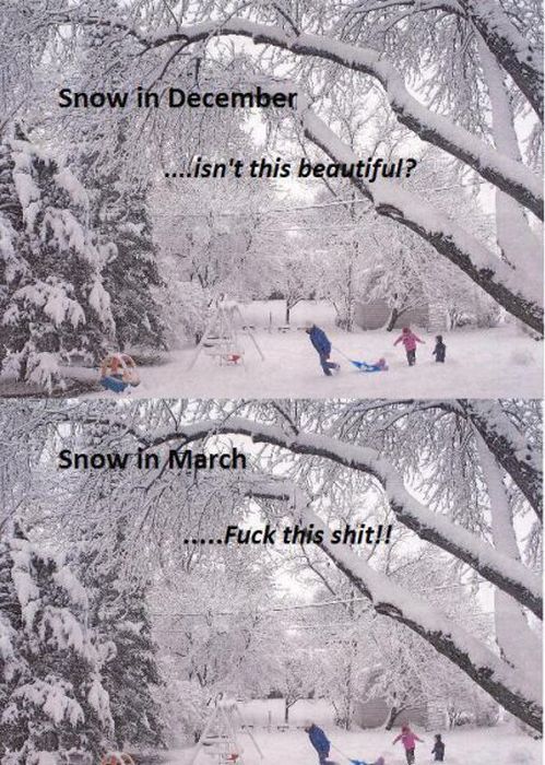 Acid Picdump (128 pics)