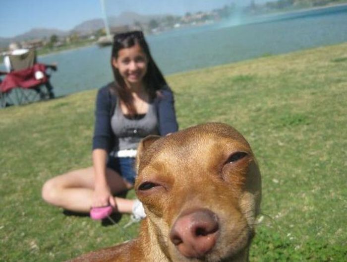 Acid Picdump (128 pics)