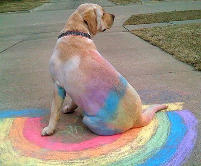 Acid Picdump (128 pics)