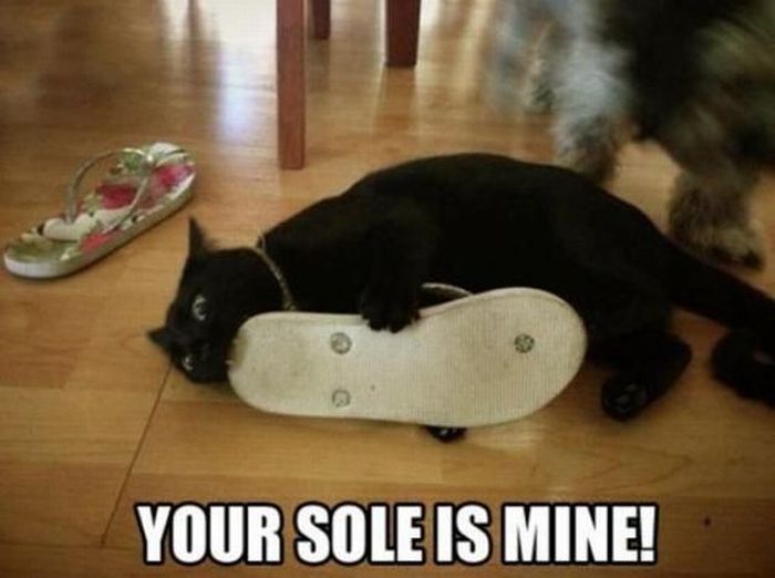 Acid Picdump (128 pics)