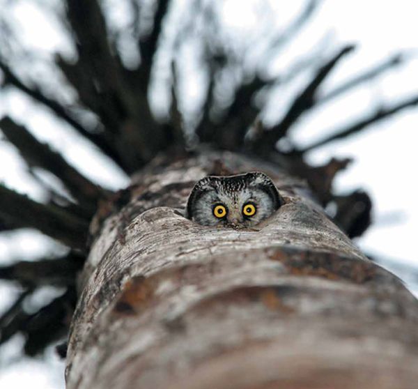 Acid Picdump (128 pics)