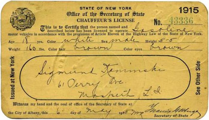 Evolution of the New York Driver’s License (40 pics)