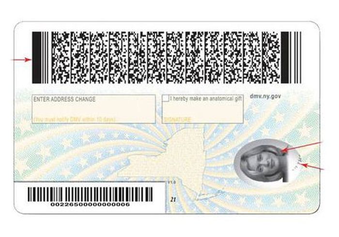 Evolution of the New York Driver’s License (40 pics)
