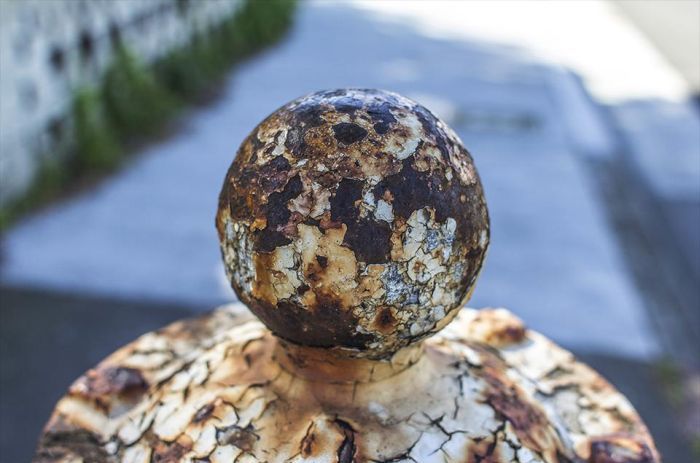 Rusty Fire Hydrant Planets (12 pics)