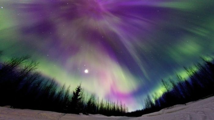 Northern Lights (25 pics)