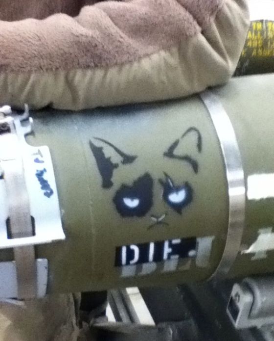 Grumpy Cat On A Bomb (4 pics)