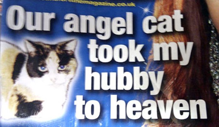 WTF Gossip-Mag Cover Lines (39 pics)