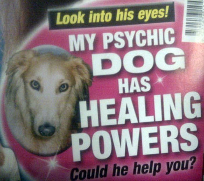 WTF Gossip-Mag Cover Lines (39 pics)