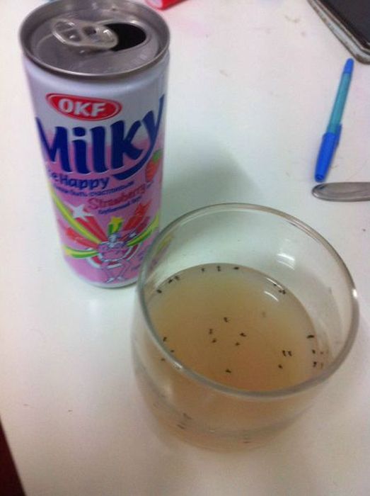 Pictures You Don't Want to See (47 pics)