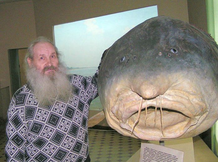 Pictures You Don't Want to See (47 pics)