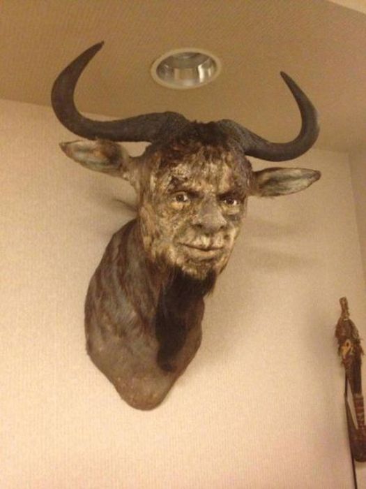 Pictures You Don't Want to See (47 pics)