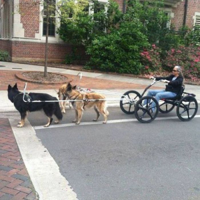 Pictures You Don't Want to See (47 pics)