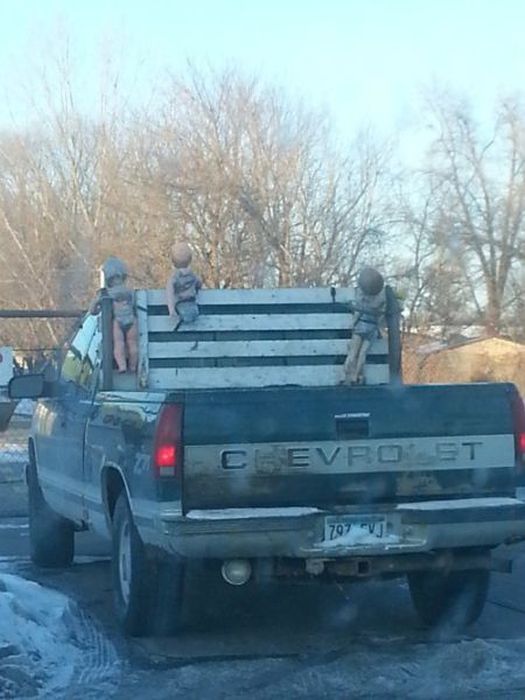 Pictures You Don't Want to See (47 pics)