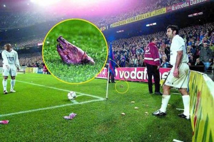 Pictures You Don't Want to See (47 pics)